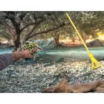 Ελαιόδιχτα 8*12m πυκνότητας 90gr/m² - Image 3