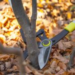 GARDEX Ψαλίδα κλάδου τηλεσκοπ. αλουμινίου λαβή 700mm 382918 - Image 5