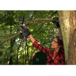 CAT Set Αλυσοπρίονο κλαδευτικό μπαταρίας Li-Ion 18V 4Ah DG231 - Image 4